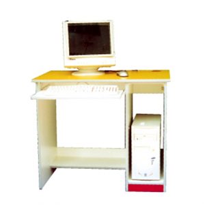 Adult Computer Table